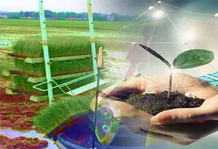 Advancements in Automotive Electrical Systems