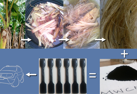 How Plantains and Carbon Nanotubes Enhance Cars?